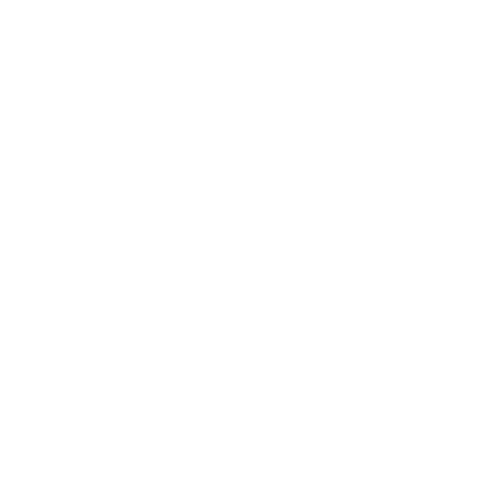 Shops Around Lenox